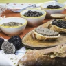 Caccia al Tartufo con Degustazione vicino Perugia
