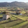 Caccia al Tartufo con Pranzo nel Parco Nazionale del Pollino