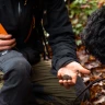Caccia al Tartufo con Pranzo nel Parco Nazionale del Pollino