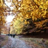 Caccia al Tartufo con Pranzo nel Parco Nazionale del Pollino