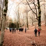 Caccia al Tartufo con Pranzo nel Parco Nazionale del Pollino
