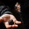 Caccia al Tartufo con Pranzo nel Parco Nazionale del Pollino