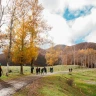 Caccia al Tartufo con Pranzo nel Parco Nazionale del Pollino