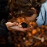 Caccia al Tartufo con Pranzo nel Parco Nazionale del Pollino
