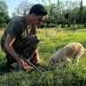 Caccia al Tartufo in Toscana vicino Siena