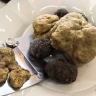 Caccia al Tartufo in Toscana vicino Siena