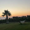 Cena privata in Vigna al Tramonto nel Salento