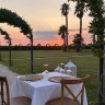 Cena privata in Vigna al Tramonto nel Salento