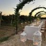 Cena privata in Vigna al Tramonto nel Salento