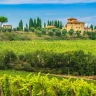 "Chianti Mystery Tour" in Vespa