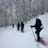 Ciaspolata nel Parco Nazionale del Pollino