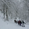 Ciaspolata nel Parco Nazionale del Pollino