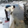 Ciaspolata nel Parco Nazionale del Pollino