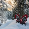 Ciaspolata sulla neve in Trentino nella Val di Sole