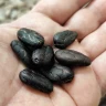 Cioccolatiere per un giorno a Modica in Sicilia