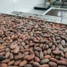 Cioccolatiere per un giorno a Modica in Sicilia