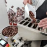Cioccolatiere per un giorno a Modica in Sicilia