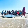 Corso base di Surf di 6 ore ad Ostia vicino Roma