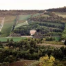 Corso di Pasta fatta in casa vicino Predappio
