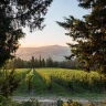 Corso di Pasta fatta in casa vicino Predappio