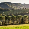 Corso di Pasta fatta in casa vicino Predappio