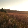 Degustazione dell'Olio di Pienza vicino Siena
