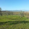 Degustazione dell'Olio di Pienza vicino Siena