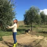 Degustazione dell'Olio di Pienza vicino Siena