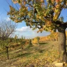 Degustazione di Vini a Neive nelle Langhe