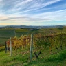 Degustazione di Vini a Neive nelle Langhe