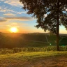 Degustazione di Vini a Neive nelle Langhe