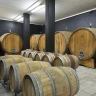 Degustazione di Vini in abbinamento a Cioccolato o Formaggio nelle Langhe