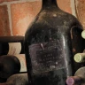 Degustazione di Vini in abbinamento a Cioccolato o Formaggio nelle Langhe