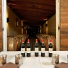 Degustazione di Vini in abbinamento a Cioccolato o Formaggio nelle Langhe