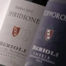 Degustazione e Visita in Cantina a Magione