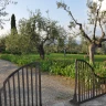 Dormire in una Casa sull'Albero a Firenze