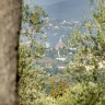 Dormire in una Casa sull'Albero a Firenze