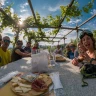 E-Bike Tour con Degustazione in Vigna a Gattinara in Valsesia