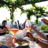 E-Bike Tour con Degustazione in Vigna a Gattinara in Valsesia