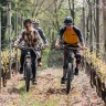 E-Bike Tour con Degustazione in Vigna a Gattinara in Valsesia