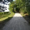E-Bike Tour tra i Vigneti del Barolo