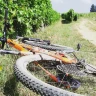 E-Bike Tour tra i Vigneti del Barolo