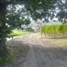 E-Bike Tour tra i Vigneti del Barolo