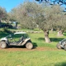 Escursione di 2 ore in Dune Buggy vicino Alberobello