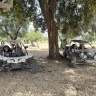 Escursione di 2 ore in Dune Buggy vicino Alberobello