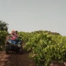 Escursione in Quad di 3 o 4 ore vicino Trapani