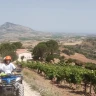Escursione in Quad vicino Trapani