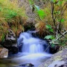 Fishing Adventure in Trentino