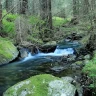 Fishing Adventure in Trentino