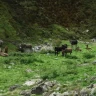 Giornata Avventura a Piode in Valsesia